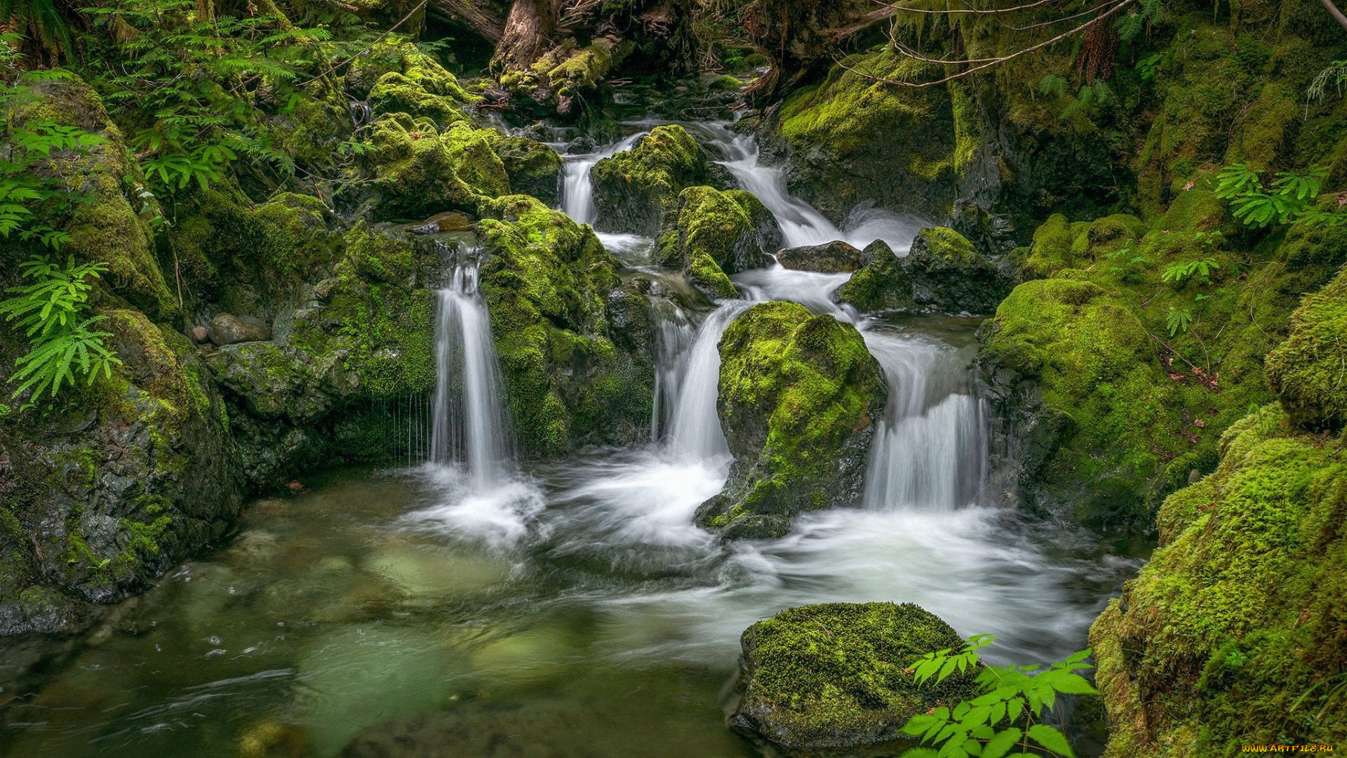 nile creek waterfall, british columbia, , , nile, creek, waterfall, british, columbia